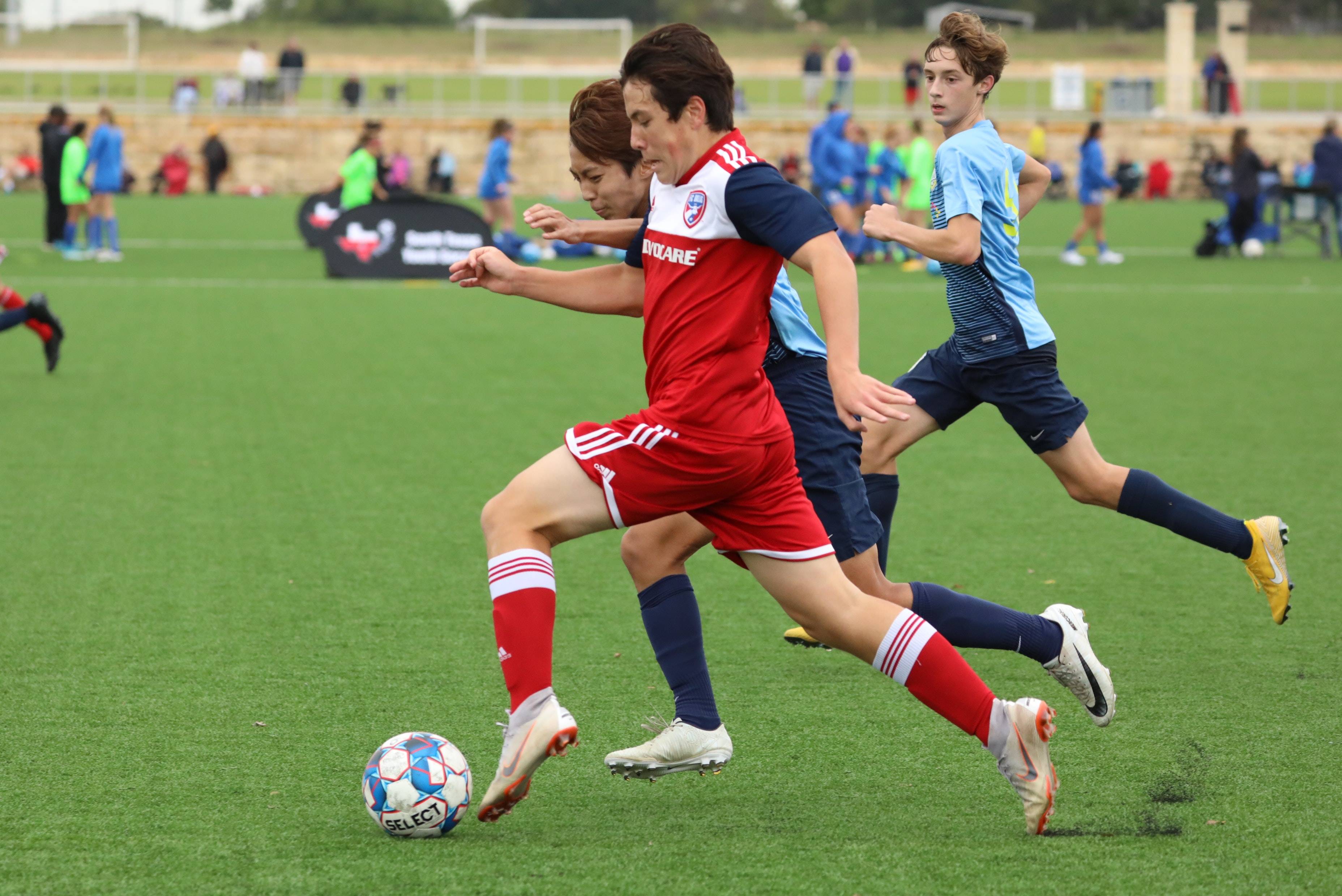 体能训练的 体能训练的